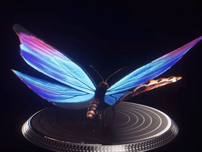 华丽的高级质感蝴蝶循环动画含各种工程及8K材质