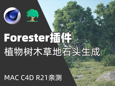 C4D 必备插件 MAC Forester 植物树木草地石头生成插件汉化版 R21亲测可用！