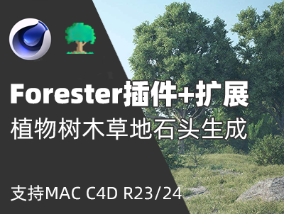 中文汉化版Forester for Cinema 4D+拓展包 森林植物生长插件支持MAC C4D R23/R24