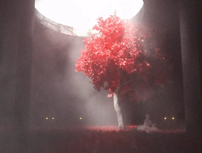 梦幻写实概念风 耶稣光——树下的人C4D工程OC渲染