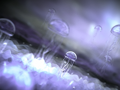 海底水母生物动画C4D场景工程OC渲染