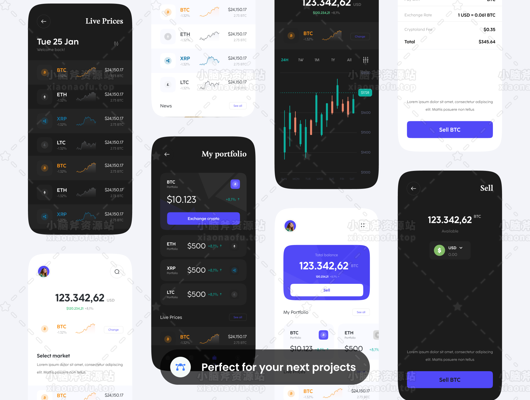 CryptoPank - 加密应用程序 UI 套件(CryptoPank - Crypto Apps UI KIT)