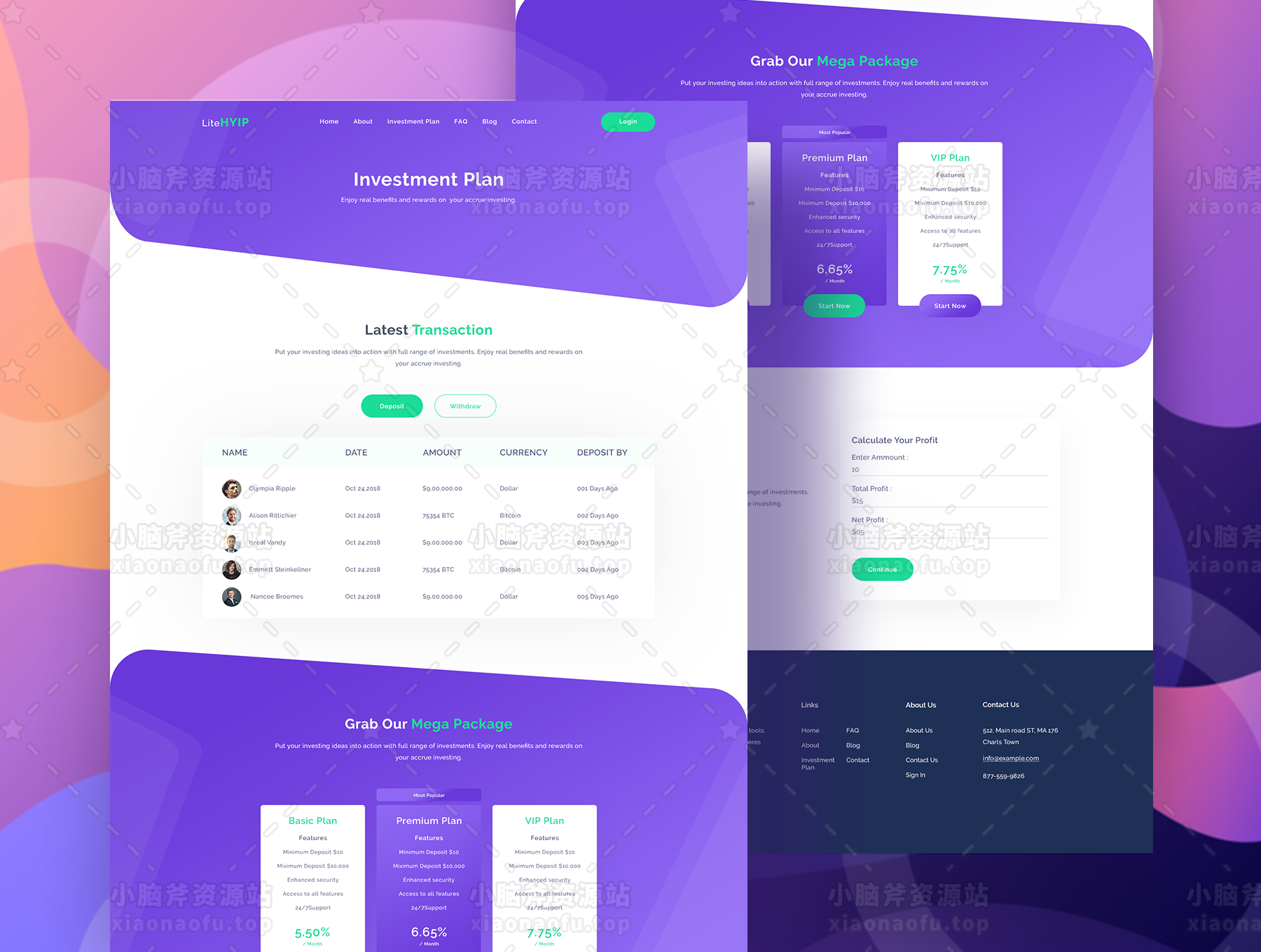 LiteHYIP - HYIP投资网站PSD模板(LiteHYIP – HYIP Investment Website PSD Template)