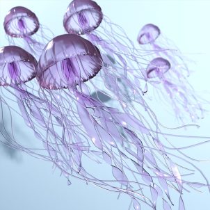 Blender工程-多彩水母场景工程